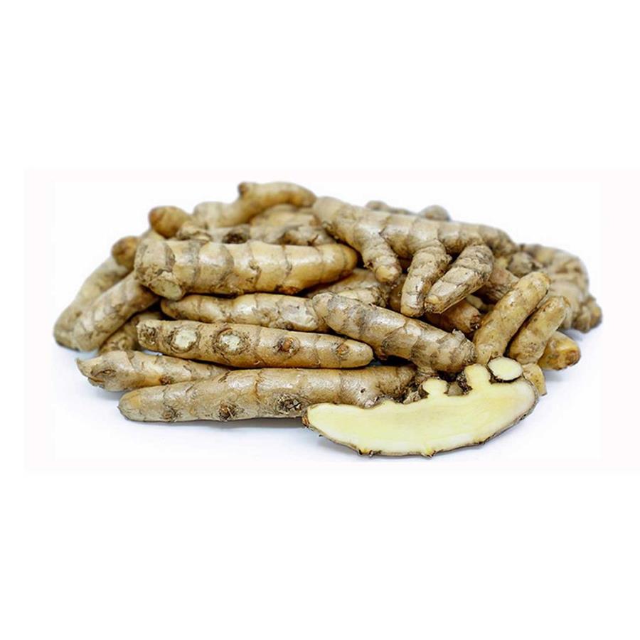 Nghệ Rừng Trắng